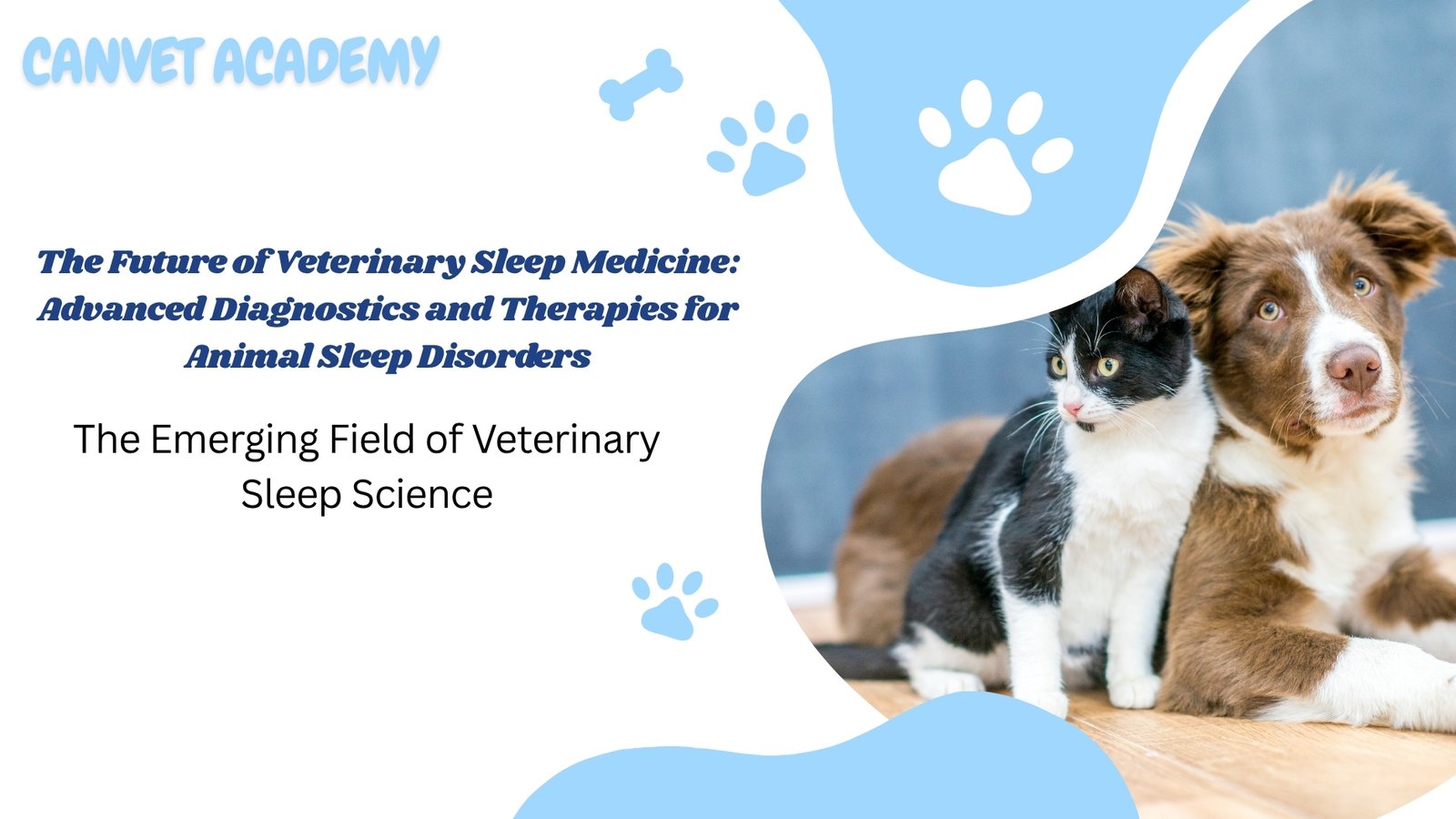 https://canvetacademy.com/2025/06/14/the-future-of-veterinary-sleep-medicine-advanced-diagnostics-and-therapies-for-animal-sleep-disorders/