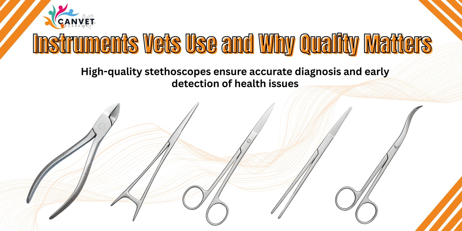 Veterinarian treating pet dental problems with instruments